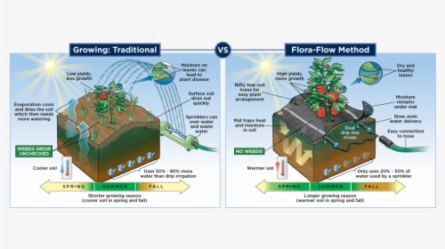 Diagram, HD Png Download, Free Download