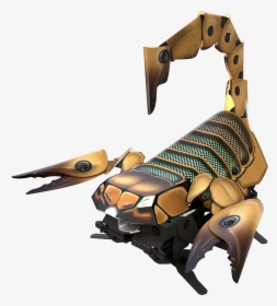 Beetle Drawing Robot, HD Png Download, Free Download
