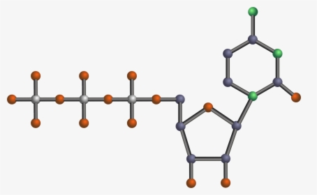 Nucleotide Clipart, HD Png Download, Free Download