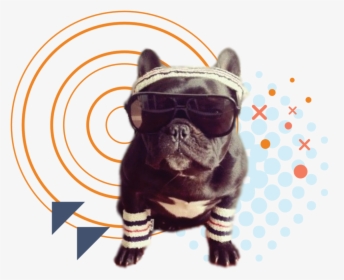Homepage Fundz - Graphic - Adorable Frenchie, HD Png Download, Free Download