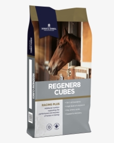 Horse, HD Png Download, Free Download