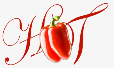 Hot Girl Tee - Plum Tomato, HD Png Download, Free Download