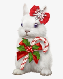 Clipart Christmas Bunny, HD Png Download, Free Download