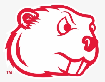 Logo - Minot State Beavers Logo, HD Png Download, Free Download