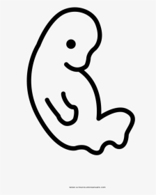 Embryo Coloring Page - Line Art, HD Png Download, Free Download
