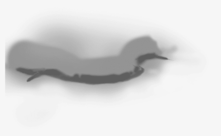 Monochrome, HD Png Download, Free Download