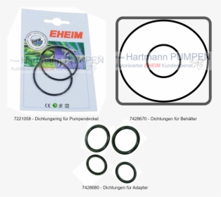Circle, HD Png Download, Free Download