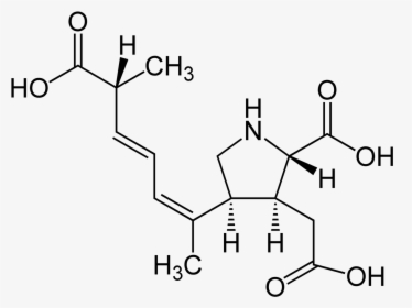 Domoinic Acid Structural Formulae - N Carbamoyl L Glutamic Acid, HD Png Download, Free Download