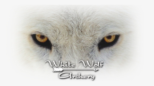 Transparent White Wolf Png - Adolfo Urias Burbujas De Amor, Png Download, Free Download