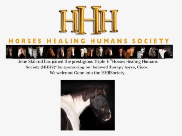 Picture - Stallion, HD Png Download, Free Download