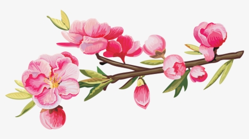 ดอก ท้อ, HD Png Download, Free Download