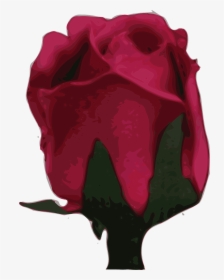 Rose, HD Png Download, Free Download
