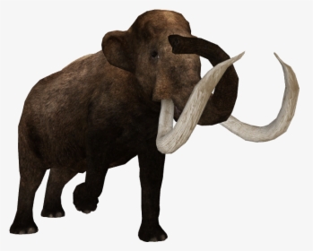 Indian Elephant, HD Png Download, Free Download