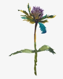 Layer 34 image@4x - Distaff Thistles, HD Png Download, Free Download