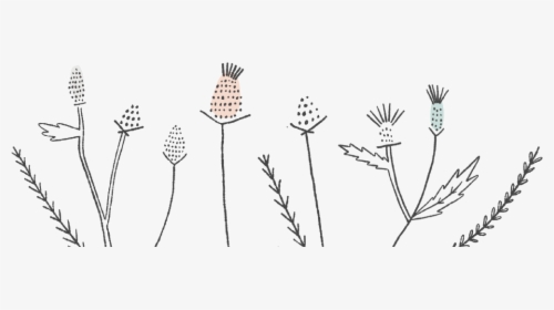 Taitthistle-footer - Line Art, HD Png Download, Free Download
