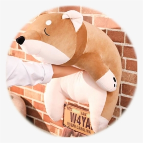 Cookies Cake - Shiba Inu, HD Png Download, Free Download