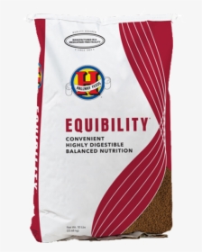 Equibility Web - Hallway Feeds, HD Png Download, Free Download