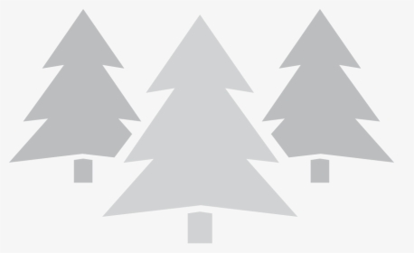 Trees - Christmas Tree, HD Png Download, Free Download