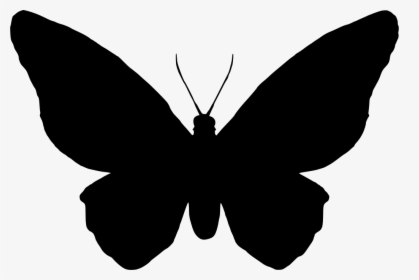 Papillon Pictogramme , Png Download - Scalable Vector Graphics, Transparent Png, Free Download