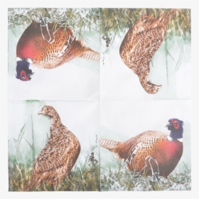 Paper Napkins Pheasant 33x33cm - Napkin, HD Png Download, Free Download