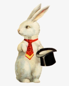 Rabbit Hat Png Background Image - Vintage Funny Easter Bunny, Transparent Png, Free Download