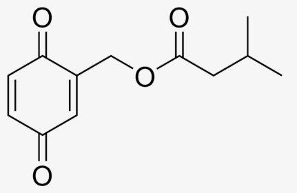 Molecular Weight Of Phthalic Acid, HD Png Download, Free Download