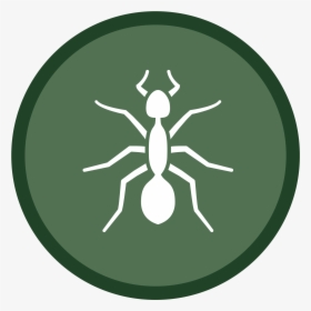 Ant Icon-02 - Broome Community College Hornets, HD Png Download, Free Download