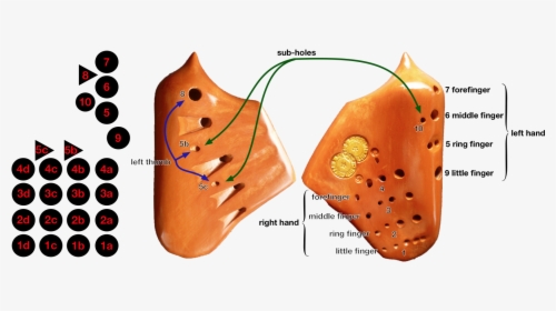 Triple Chamber Ocarina Fingering, HD Png Download, Free Download