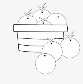 Oranges Basket Clipart Black And White, HD Png Download, Free Download