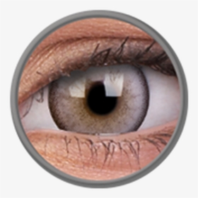 Contact Lenses, HD Png Download, Free Download