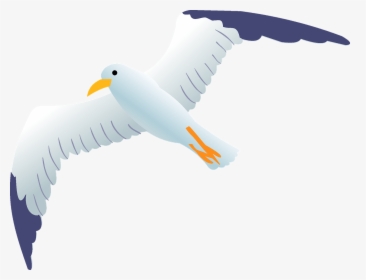 Albatross, HD Png Download, Free Download