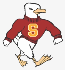 Sea Gull Png, Transparent Png, Free Download