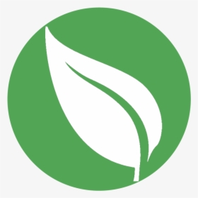 Green Leaf Icon Png, Transparent Png, Free Download