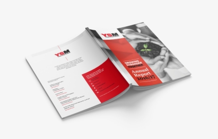 Brochure, HD Png Download, Free Download