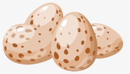 Transparent Huevos Png - Bird Egg Clipart, Png Download, Free Download