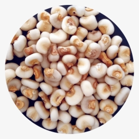 Pearl Onion, HD Png Download, Free Download