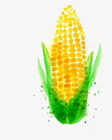 Chili Con Carne Watercolor Painting Maize Vegetable - Watercolor Corn Png, Transparent Png, Free Download