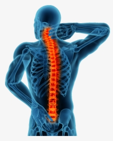 Infinity Centers United Back Pain Relief Treatment - Spine Surgery, HD Png Download, Free Download