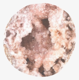 Untitled Design - Cookie, HD Png Download, Free Download