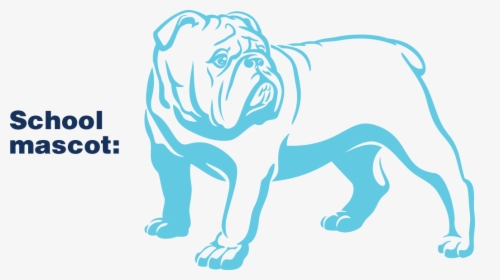 School Mascot - Bulldog - English Bulldog Vector, HD Png Download, Free Download