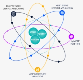 Network Life Cycle, HD Png Download, Free Download