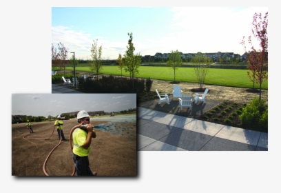Msc Helping With Maple Grove"s New Central Park - Thuya, HD Png Download, Free Download
