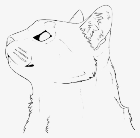 Transparent Cat Head Clip Art - Cat Face Drawing Realistic, HD Png Download, Free Download