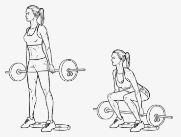 Workout Builder For Women - Women Exercise Drawing, HD Png Download, Free Download