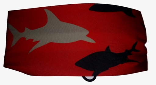 Dive Buddy Originals Swimbands - Shark, HD Png Download, Free Download