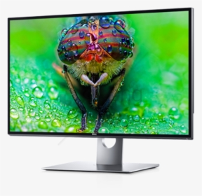 Free Png Dell Computer Monitor Png Png Image With Transparent - Monitor 8k, Png Download, Free Download