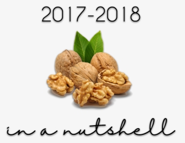 Walnuts Kernels, HD Png Download, Free Download