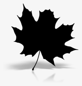Maple Leaf Baku Silhouette Image Clip Art - Maple, HD Png Download, Free Download