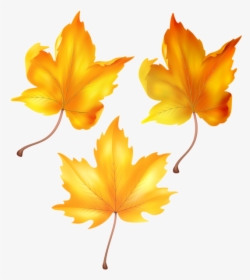 Transparent Cartoon Fall Leaves, HD Png Download, Free Download