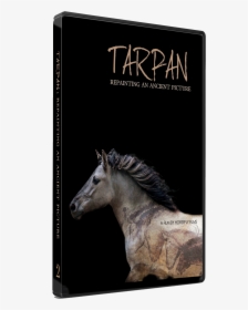 Tarpan Dvd Case Image, HD Png Download, Free Download